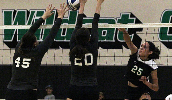 Late Rally in Game Two Allows Wilmington Volleyball to Sweep Chestnut Hill in CACC Opener