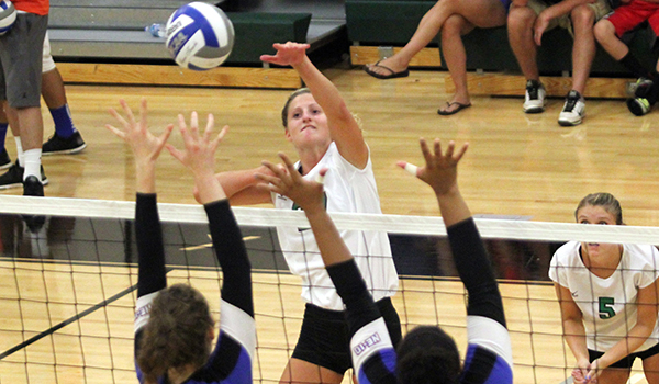 Volleyball Splits on Opening Day of the 2014 Wildcat Regional Invitational