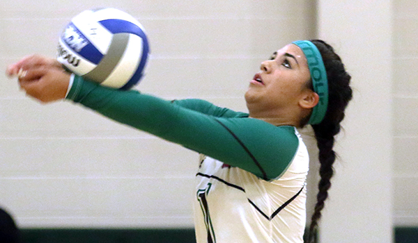 Copyright 2017; Wilmington University. All rights reserved. File photo of Addalyn Flores who collected 32 digs against Chestnut Hill, taken by Frank Stallworth.