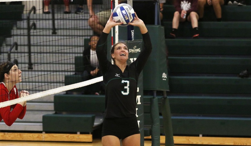 Copyright 2017; Wilmington University. All rights reserved. Photo of Miranda Shaw against Dominican, taken by Frank Stallworth.