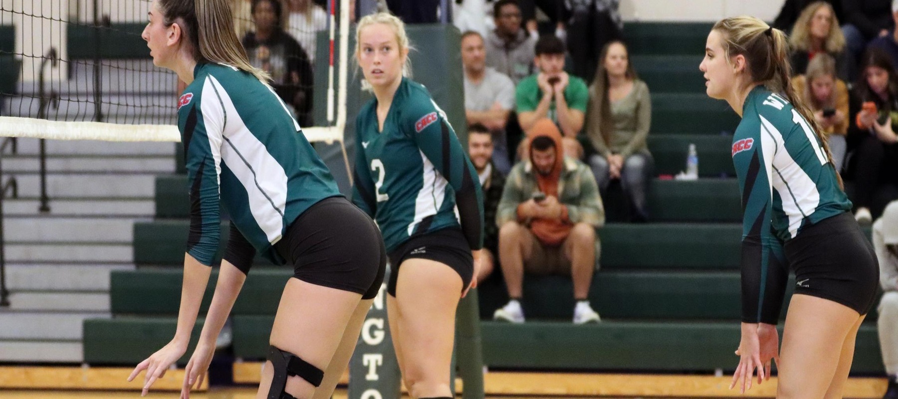 Chestnut Hill Picks Up 3-1 CACC South Division Victory over WilmU Volleyball